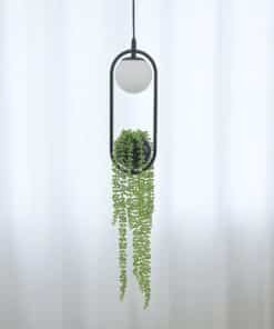 Lustre Suspension Plante