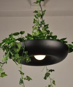 Lustre Plante