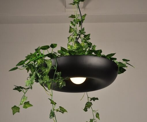 Lustre Plante