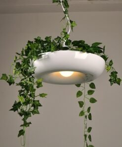 Lustre Plante