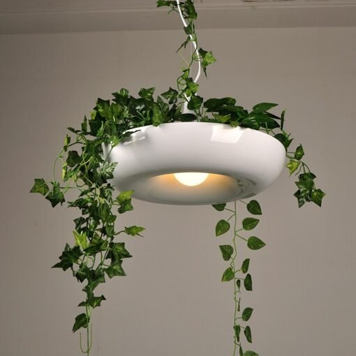 Lustre Plante